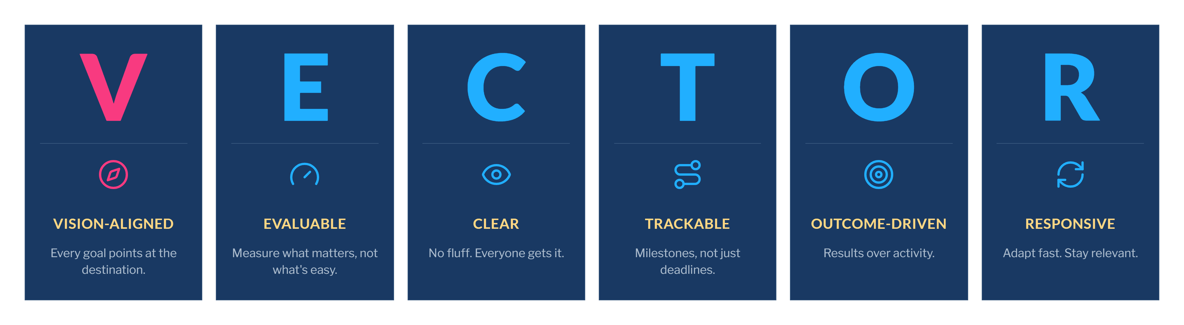 The VECTOR methodology: Vision-aligned, Evaluable, Clear, Trackable, Outcome-driven, Responsive